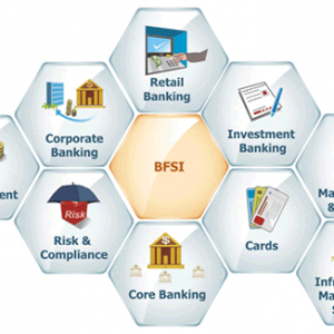 bfsi_domain_skills